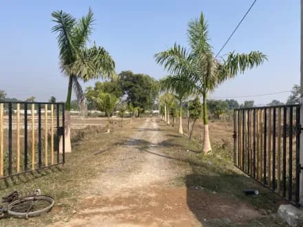 1000 Sq.ft. Residential Plot for Sale in New Indira Colony,Tikamgarh